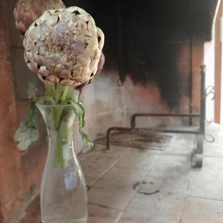 Small Heaven In Florentine Hills Appartement *